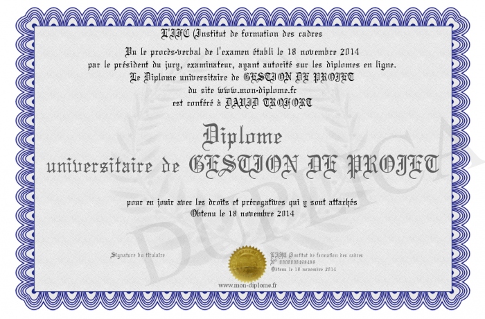 diplome universitaire gestion
